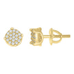 Petite Solitaire Moissanite Stud Earrings 0.27 CTW