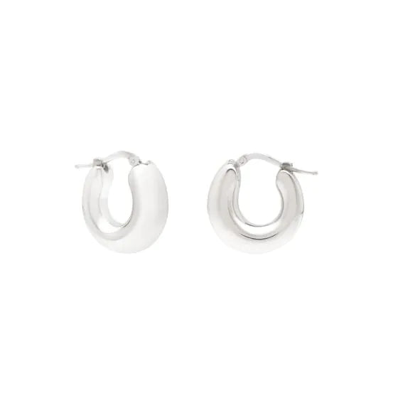 Silver Small Graduated Hoops